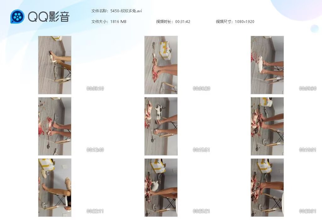 5450-欣欣多兔[202